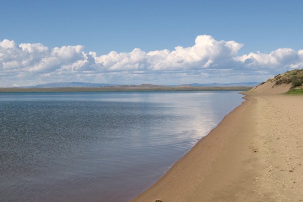 Зайти на кракен без тора