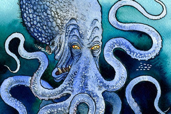 Kraken kraken dark link
