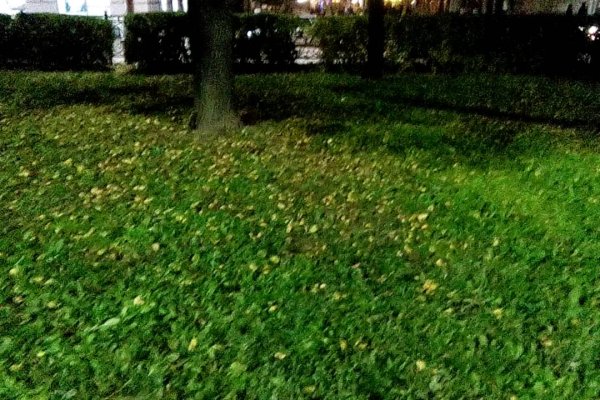 Кракен маркет дарнет только через тор